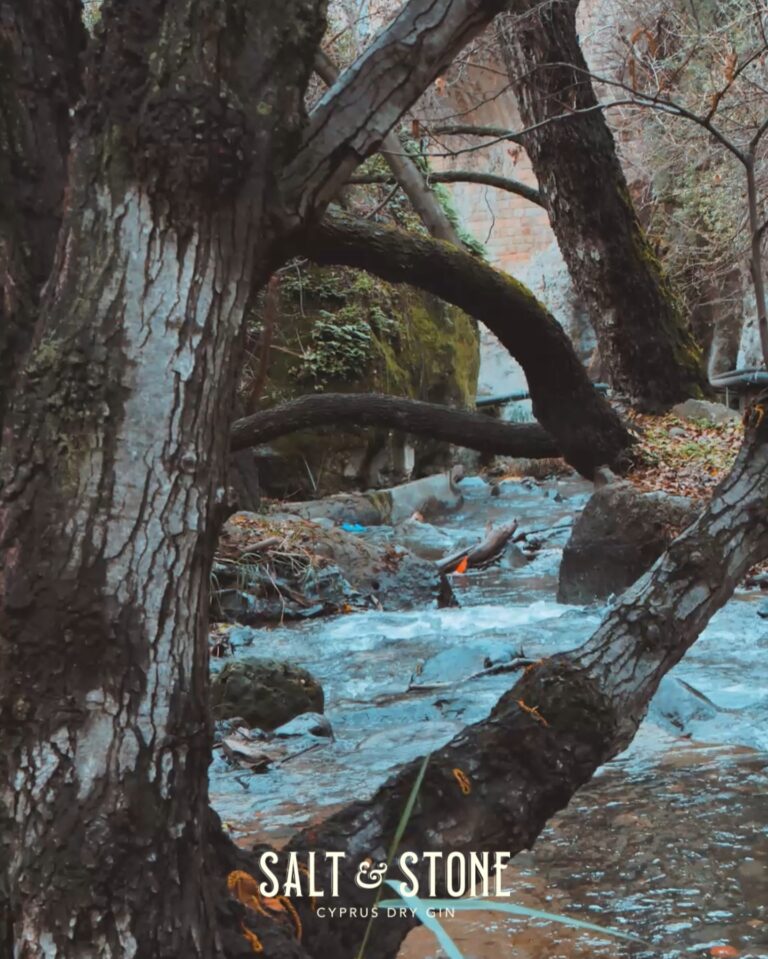 Instagram post from saltandstonegin. This post is in position 3.