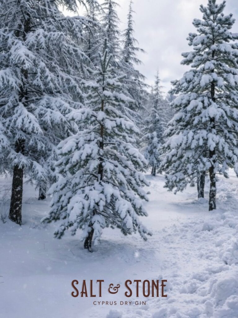 Instagram post from saltandstonegin. This post is in position 4.